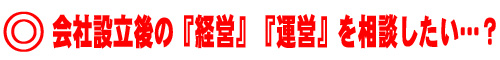 会社設立後の「経営」「運営」を相談したい…？